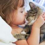 A cat is a puzzle for which there is no solution.–Cat Gifts for Cat Lovers